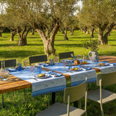 Instant Bucolique Blue Linen Collection