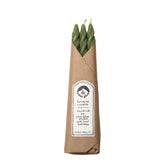 Grass Spiral Beeswax Candles - Set of 3