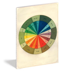 John Derian Paper Goods: Color Studies 3 Notebooks