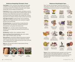 Dr. Fun Guy's Mushroom Journal