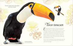An Anthology of Exquisite Birds