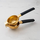Handheld Citrus Juicer