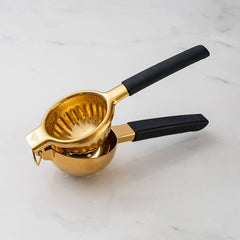Handheld Citrus Juicer