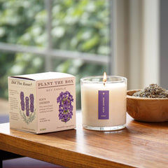 Heath Lavender - Plant the Box Candle - 9oz.