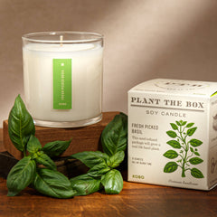 Fresh Picked Basil - Plant the Box Candle - 9oz.