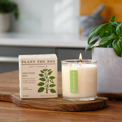 Fresh Picked Basil - Plant the Box Candle - 9oz.