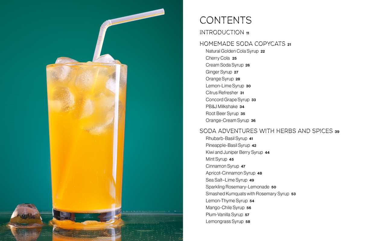FIZZ: 70 Homemade Artisan Sodas