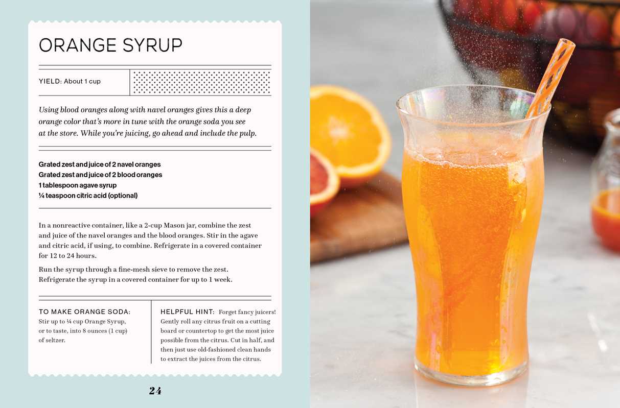 FIZZ: 70 Homemade Artisan Sodas
