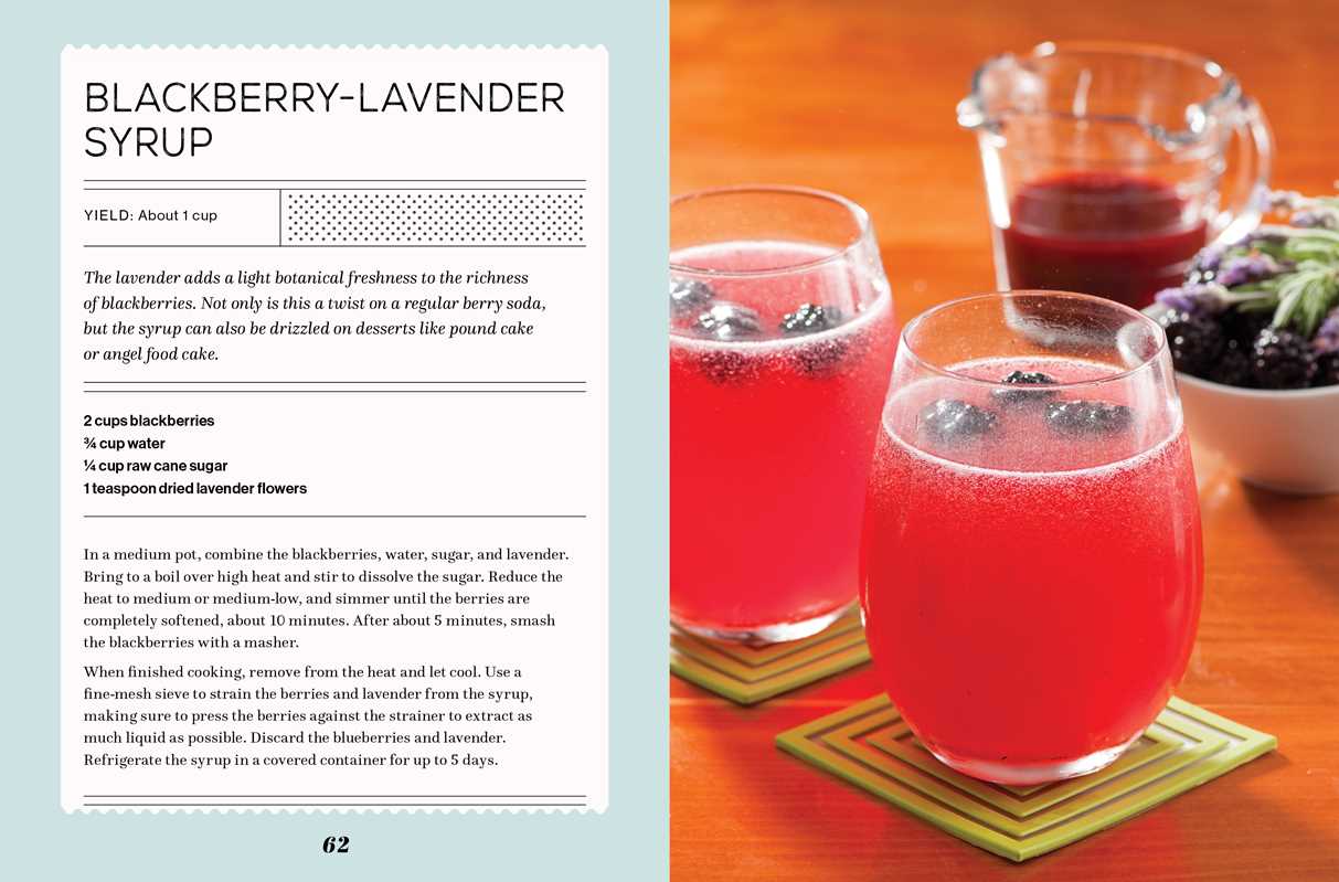 FIZZ: 70 Homemade Artisan Sodas