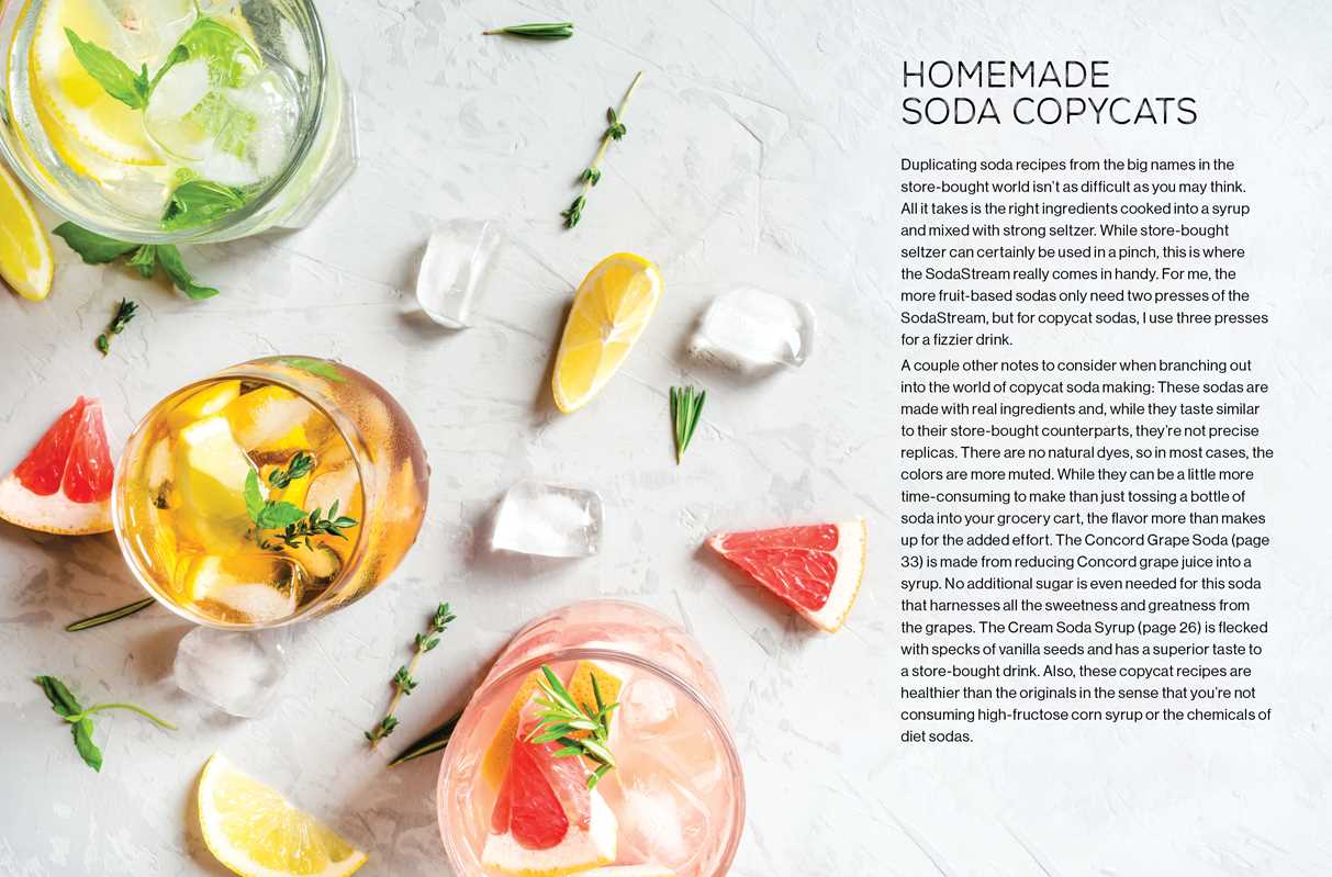 FIZZ: 70 Homemade Artisan Sodas