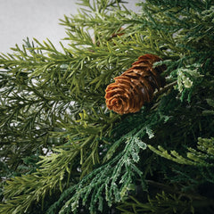 ARBORVITAE Garland, 6 feet
