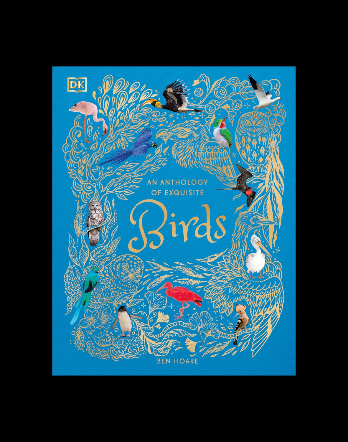 An Anthology of Exquisite Birds