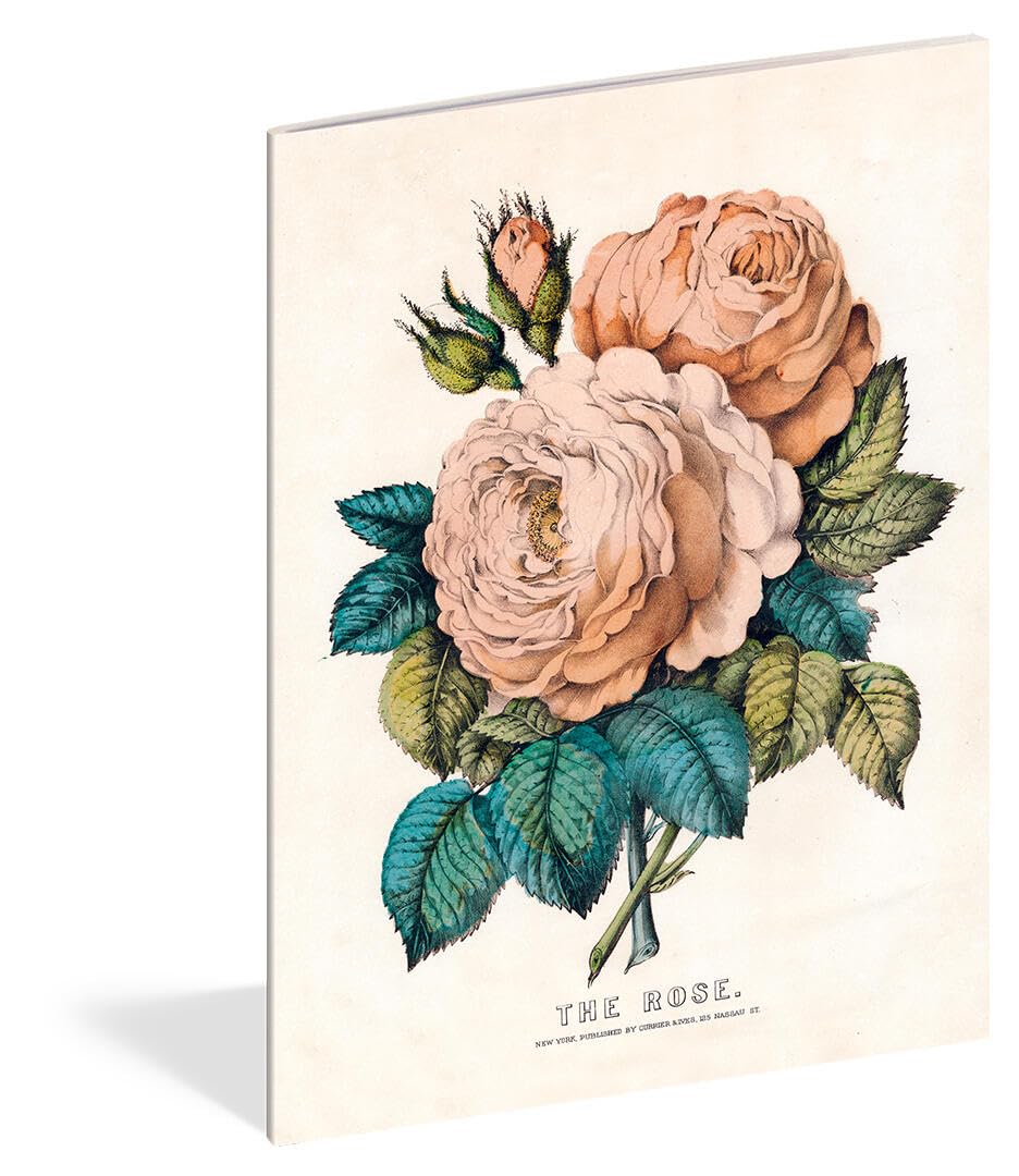 Everything Roses 3 Notebooks: John Derian Paper Goods