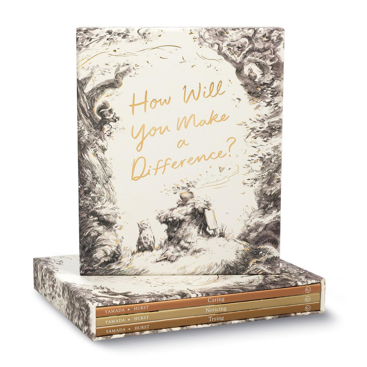How Will You Make a Difference? 3 Boxed Set: Trying - Noticing - Caring