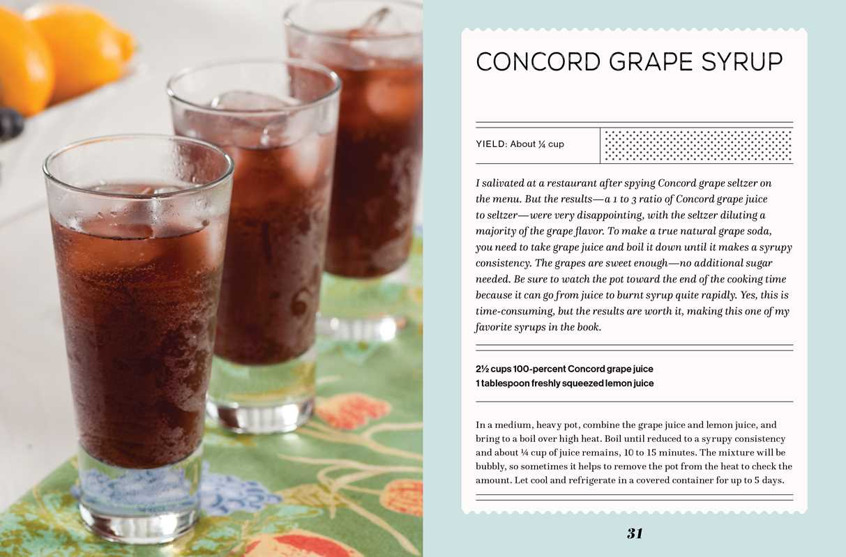 FIZZ: 70 Homemade Artisan Sodas