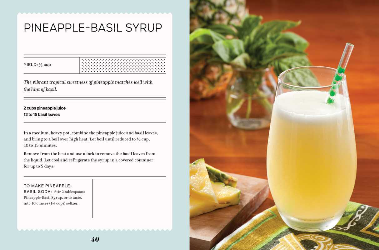 FIZZ: 70 Homemade Artisan Sodas