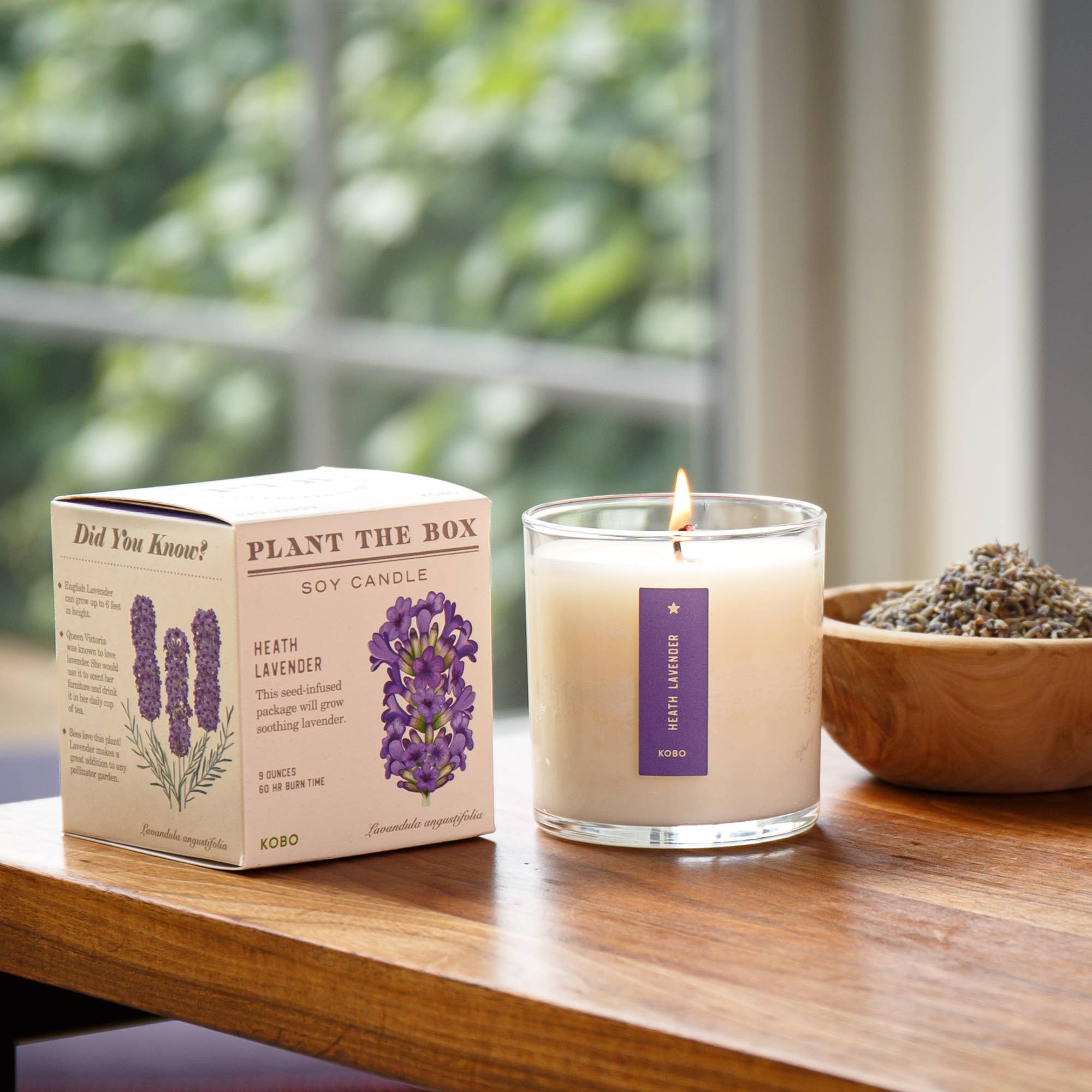 Heath Lavender - Plant the Box Candle - 9oz.