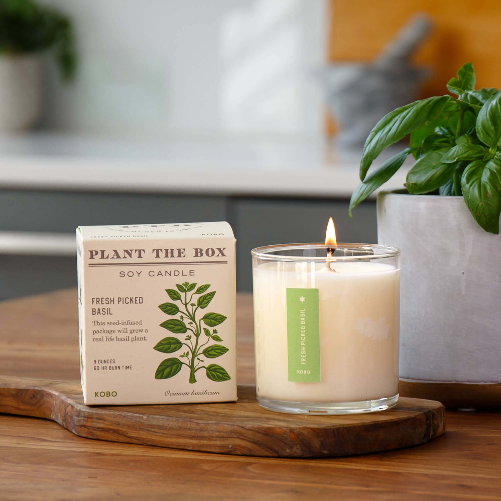 Fresh Picked Basil - Plant the Box Candle - 9oz.